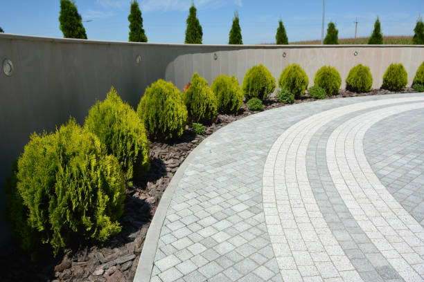 Best Brick Driveway Pavers  in Cypress Gardens, FL